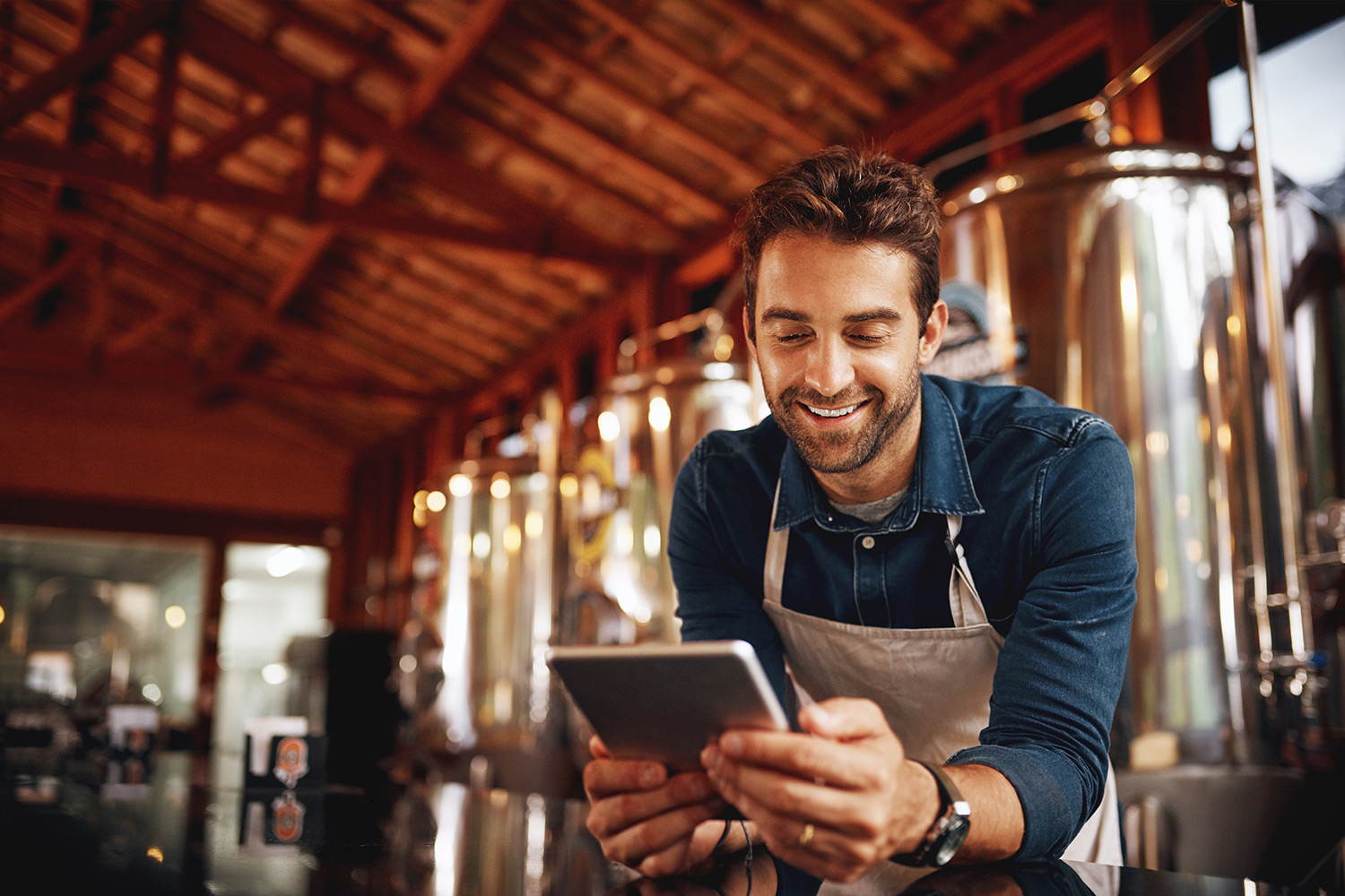 curso business control